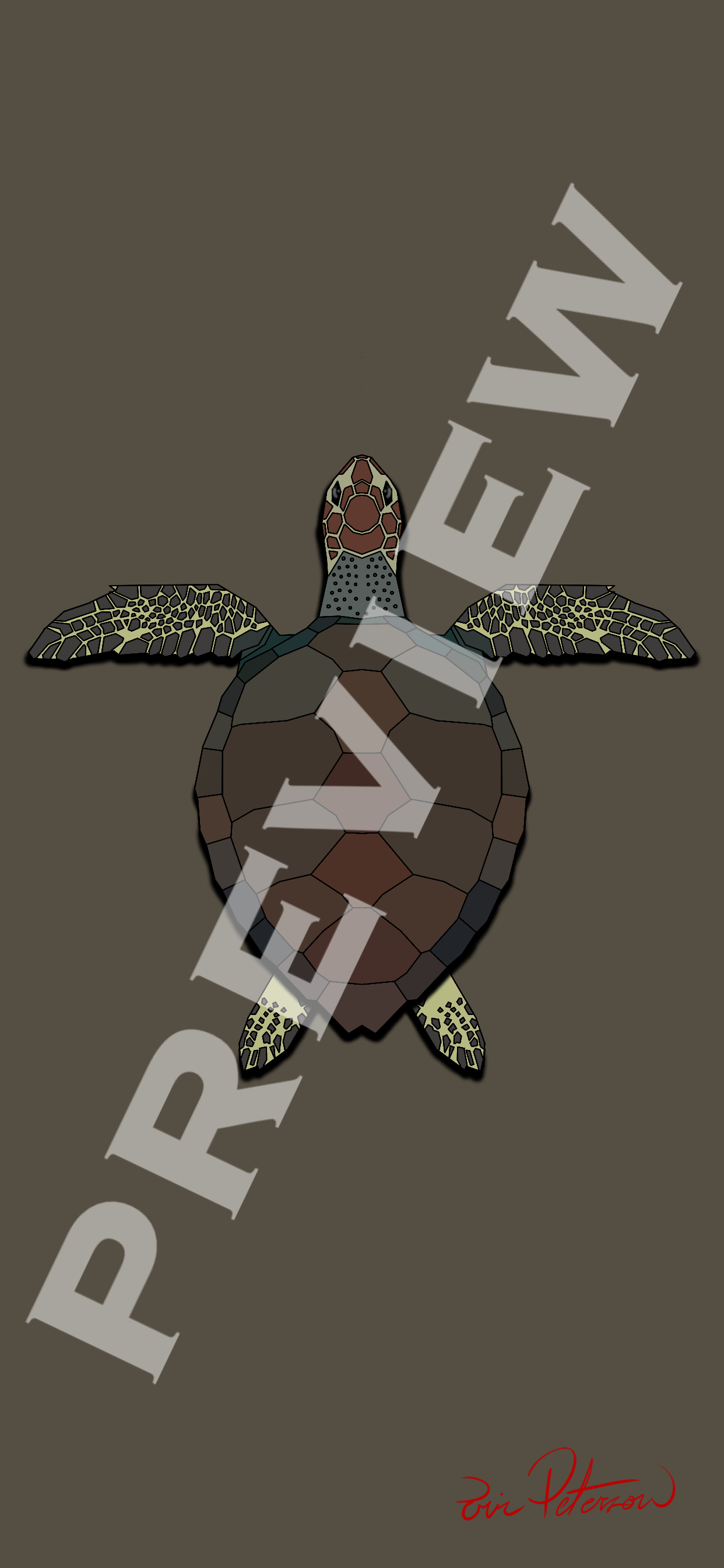 Sea Turtle