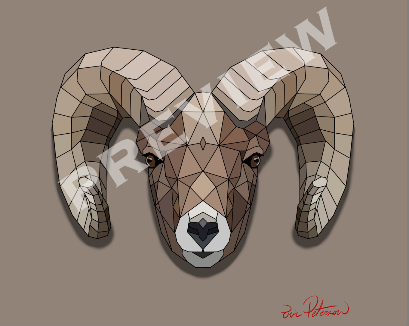 Bighorn Sheep
