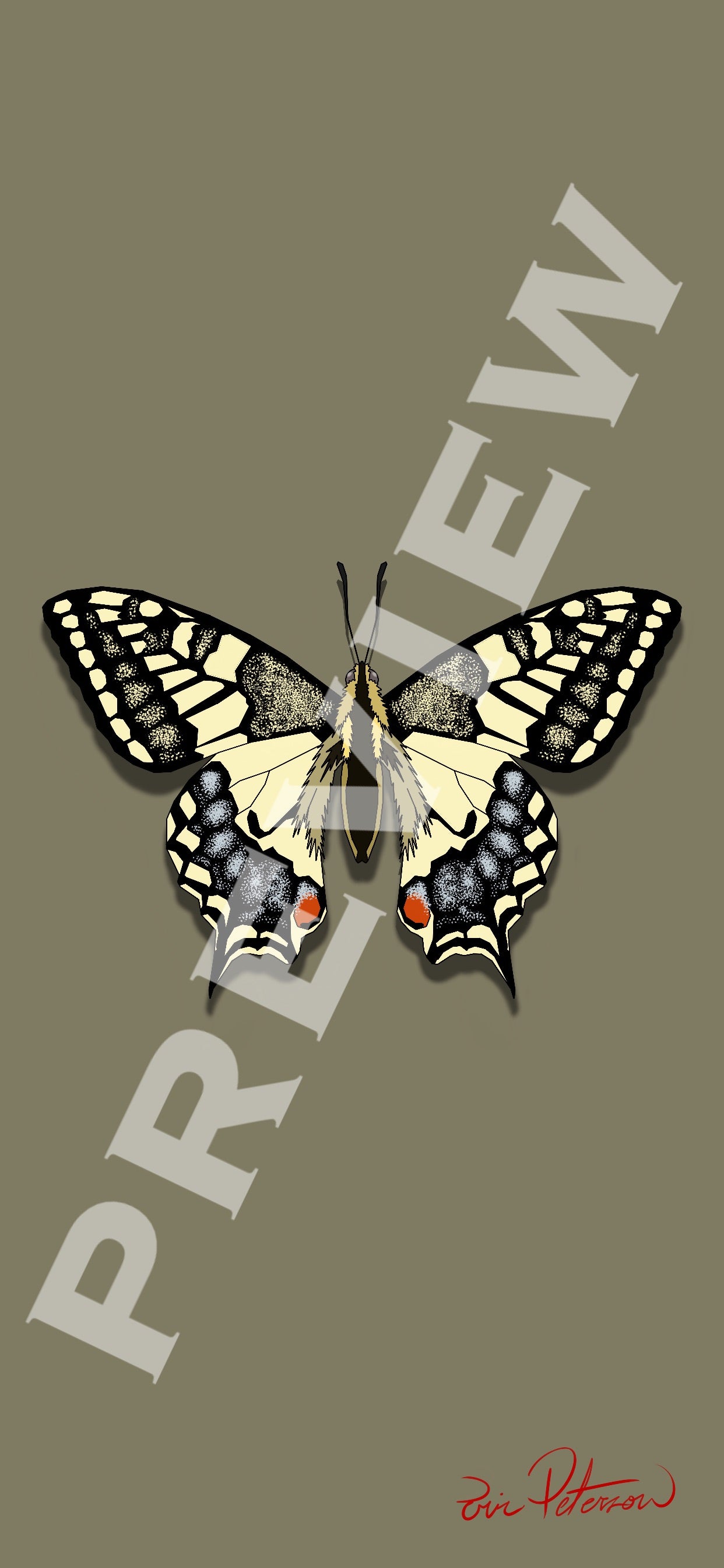 Butterfly