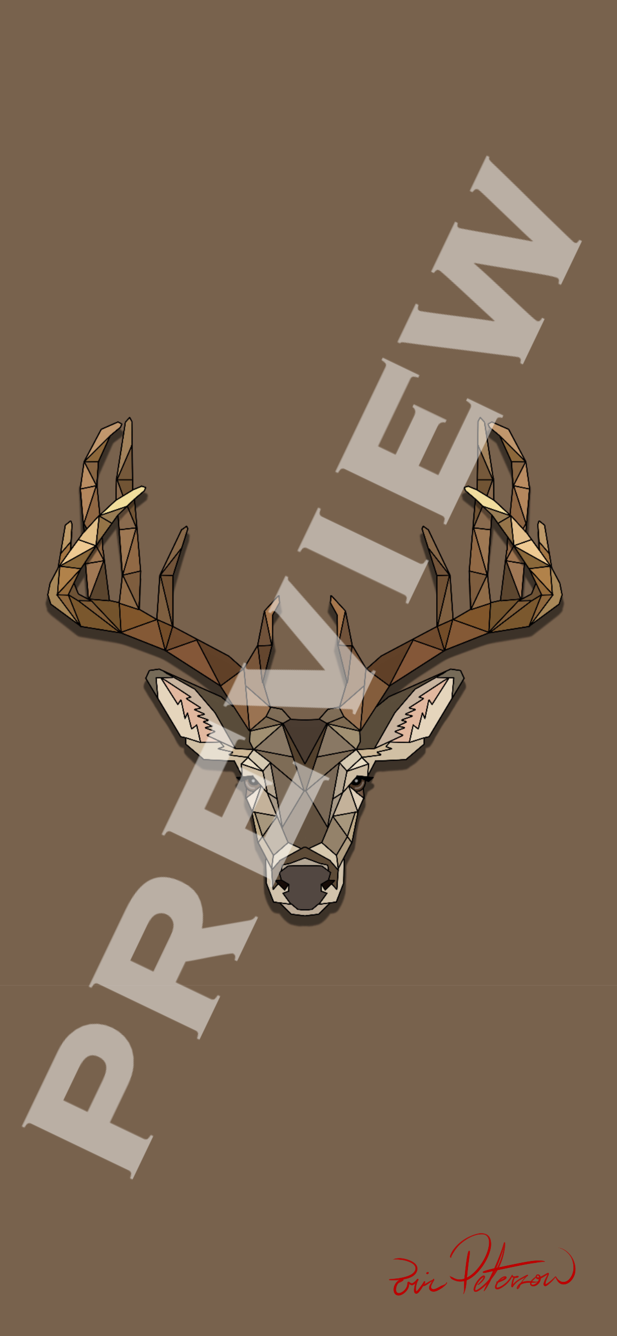 Whitetail Deer