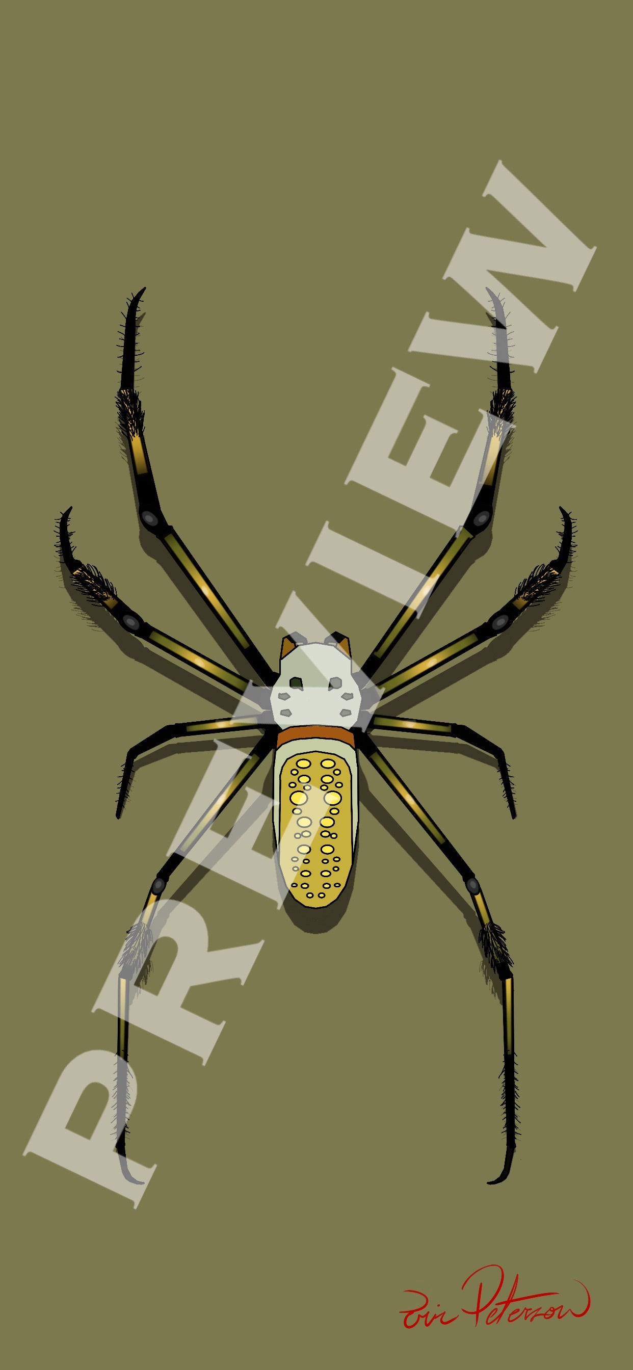 Golden Orb Weaver