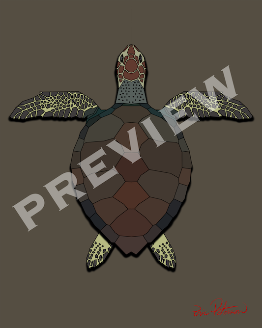 Sea Turtle