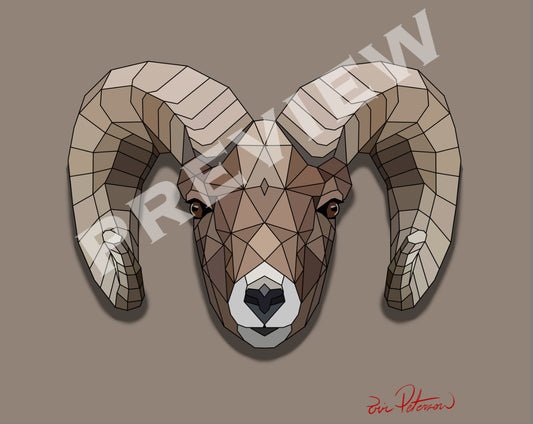 Bighorn Sheep