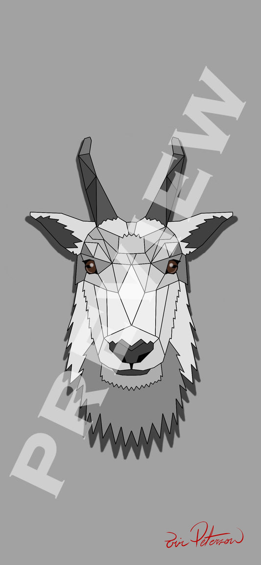 Mountain Goat