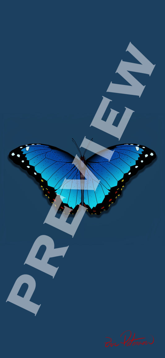 Blue Morpho