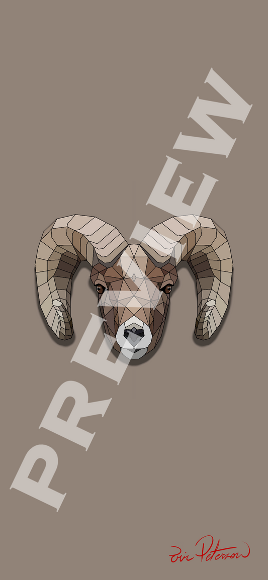 Bighorn Sheep