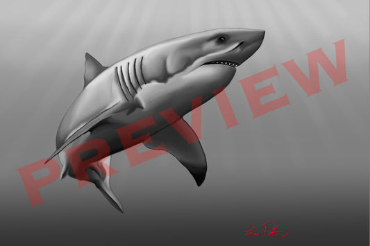 Shark