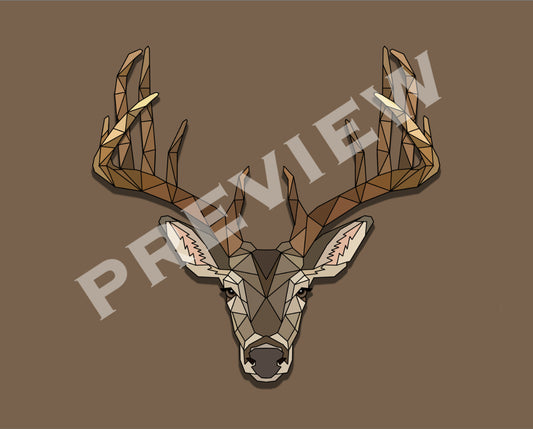 Whitetail Deer