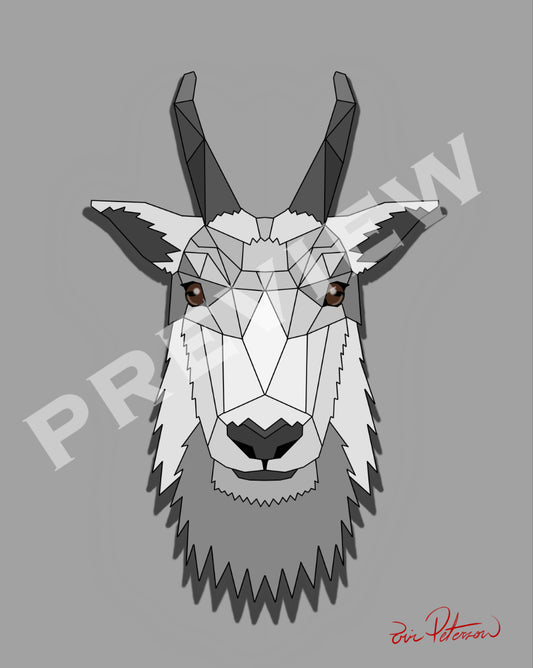 Mountain Goat
