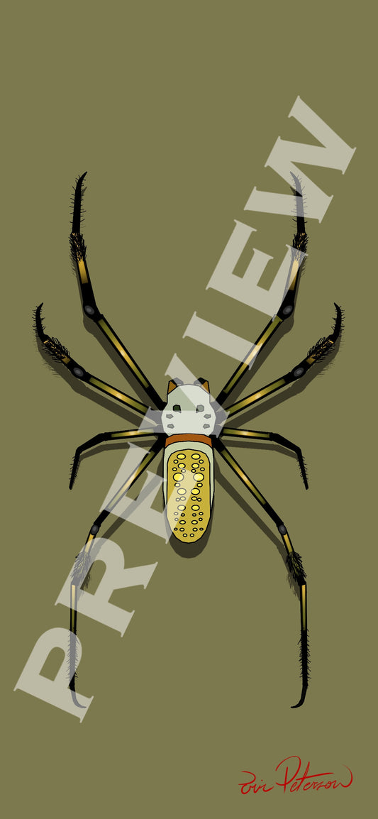 Golden Orb Weaver