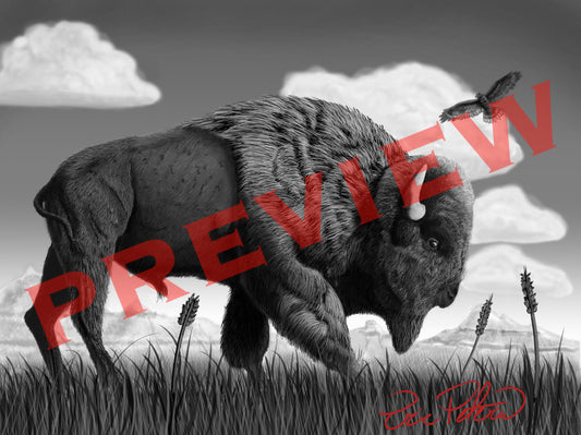 Digital Art - Buffalo
